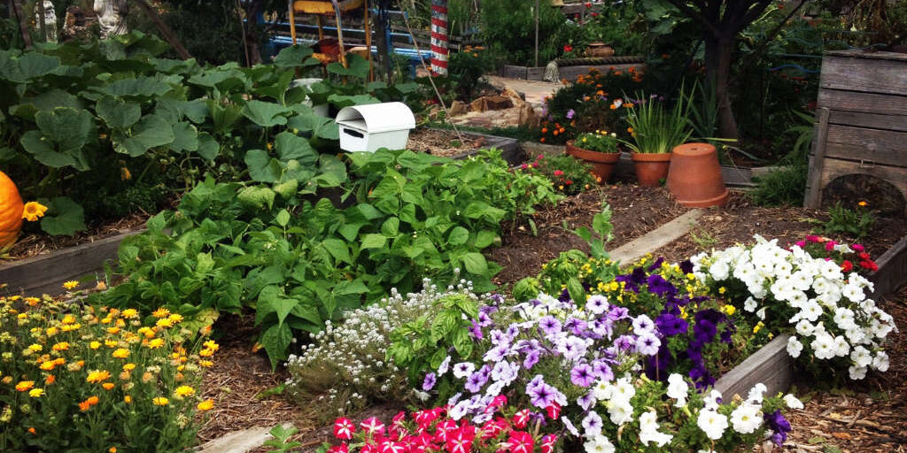 Gardening and Mental Health Gardening and Mental Health