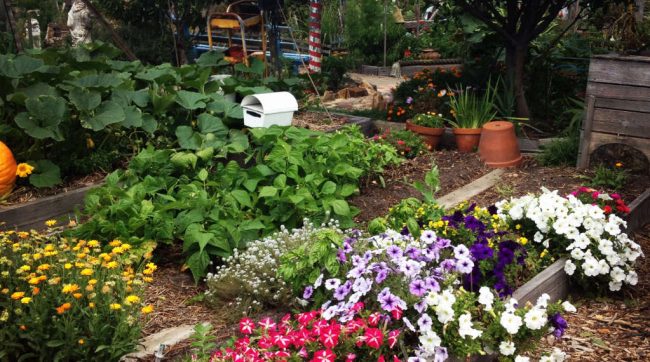 Gardening and Mental Health