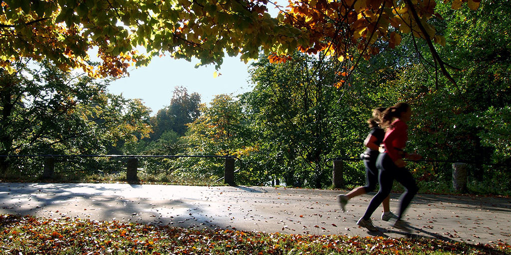 Running in the Park Running in the Park