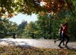 Running in the Park