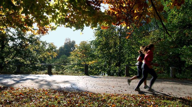 Running in the Park
