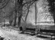 Winter Black and White
